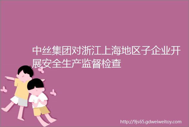 中丝集团对浙江上海地区子企业开展安全生产监督检查